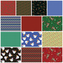 Load image into Gallery viewer, Merry &amp; Bright - 13 Piece Fat Quarter Bundle
